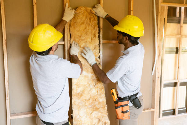 Best Insulation Contractors for Homes  in Cedar Glen West, NJ