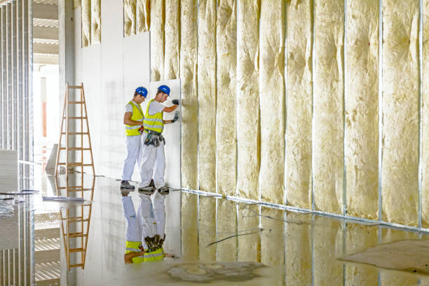 Best Attic Insulation Installation  in Cedar Glen West, NJ